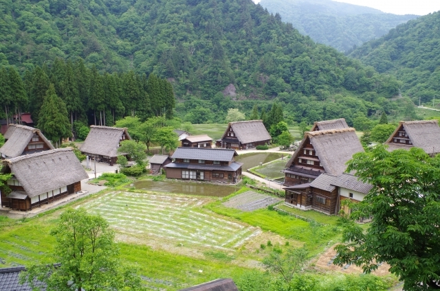 にほんブログ村の登録方法