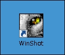 winshot10
